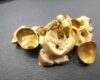 箕面で金歯や金スクラップを売るなら大吉箕面店へ